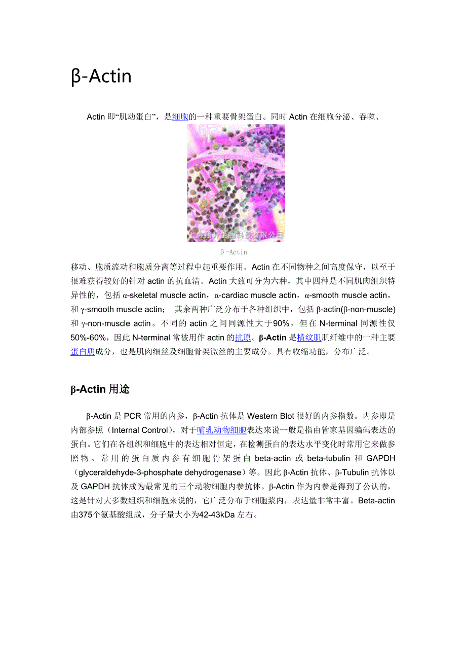 常见内参基因_第1页