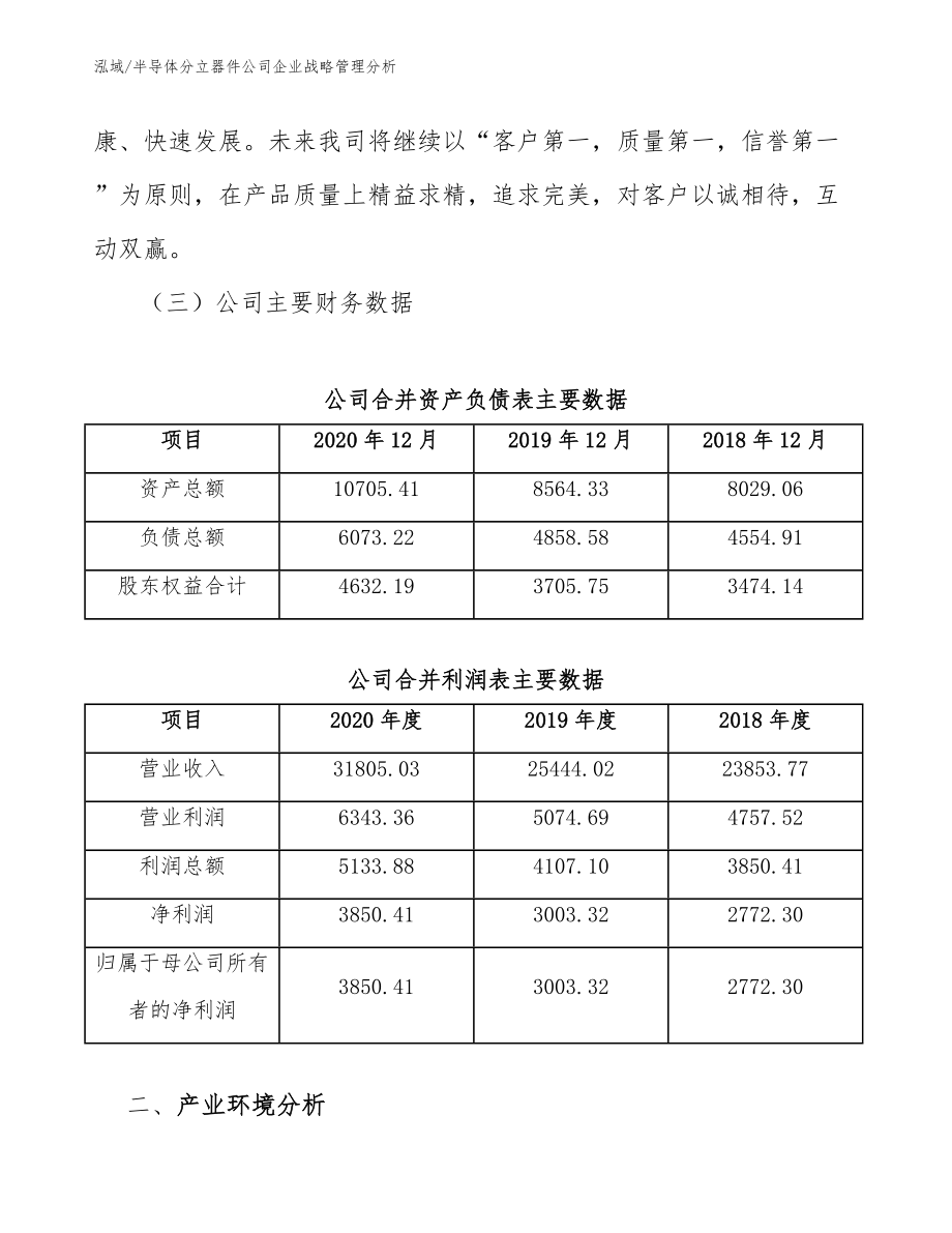 半导体分立器件公司企业战略管理分析_第4页