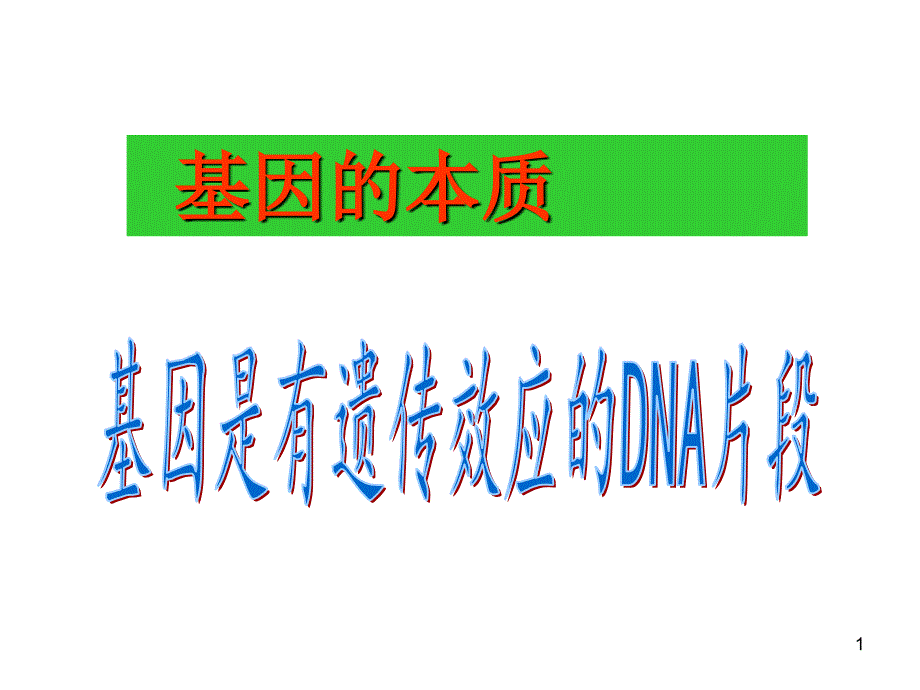 基因是有遗传效应的DNA片段ppt课件_第1页