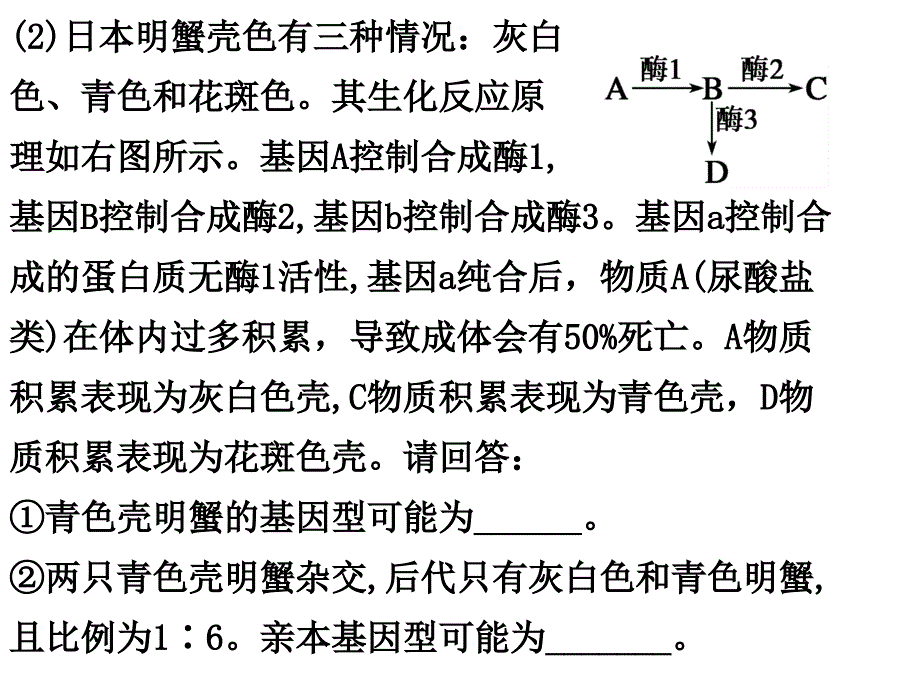 vb遗传规律复习例题_第3页