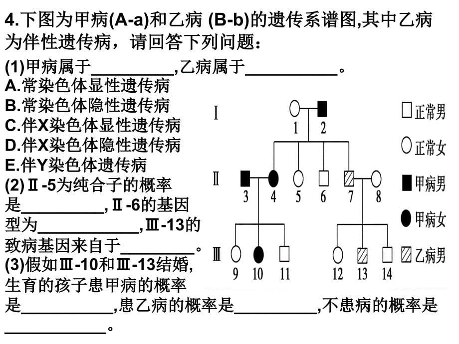 vb遗传规律复习例题_第5页