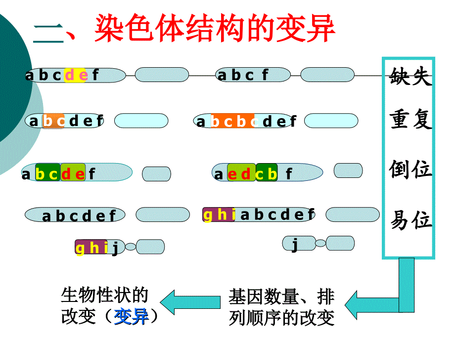 染色体变异的相关PPT课件_第3页