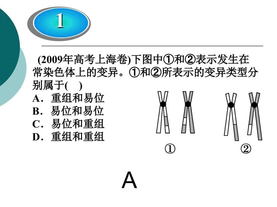 染色体变异的相关PPT课件_第5页