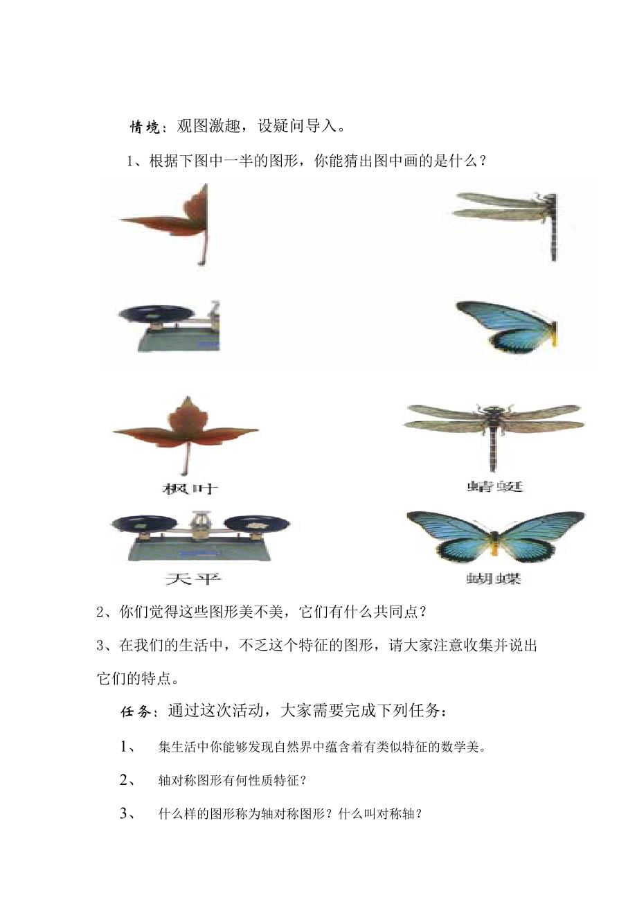 轴对称的美—探究型教学设计[精选文档]_第2页