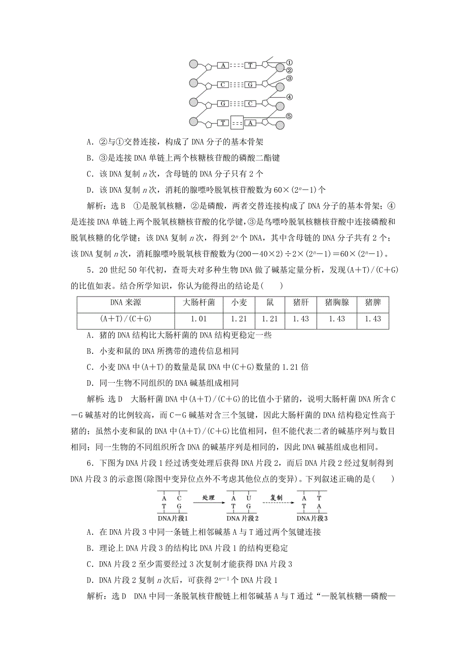 （通用版）2022年高考生物一轮复习 课下达标检测（二十）DNA分子的结构、复制与基因的本质（含解析）_第2页