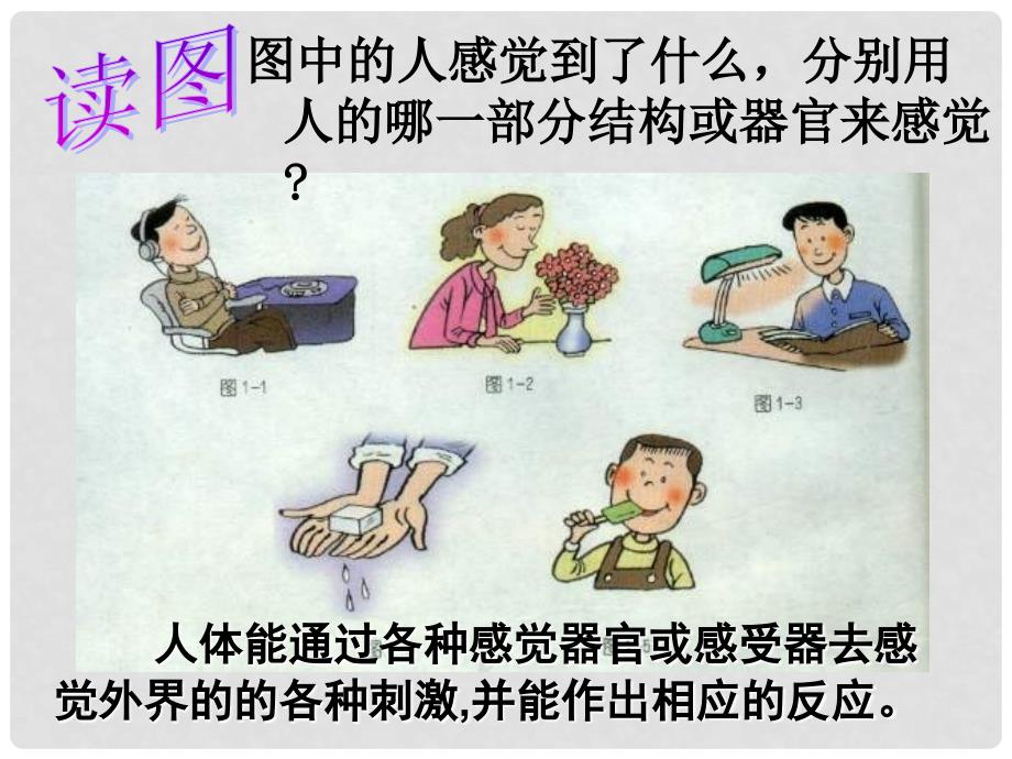 七年级科学下册 第二章《对环境的察觉》复习课件 浙教版_第3页