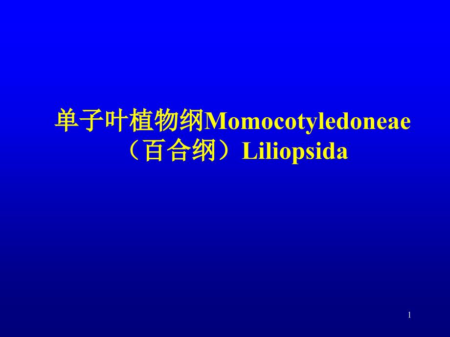 单子叶植物纲Momocotyledoneae_第1页