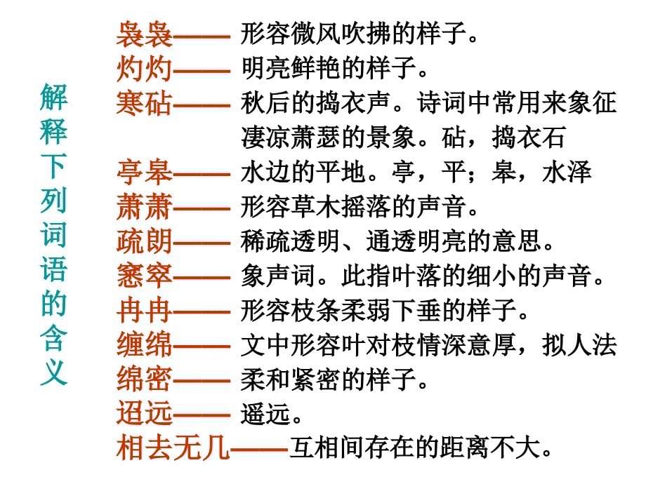 说木叶实用课件PPT.ppt_第5页