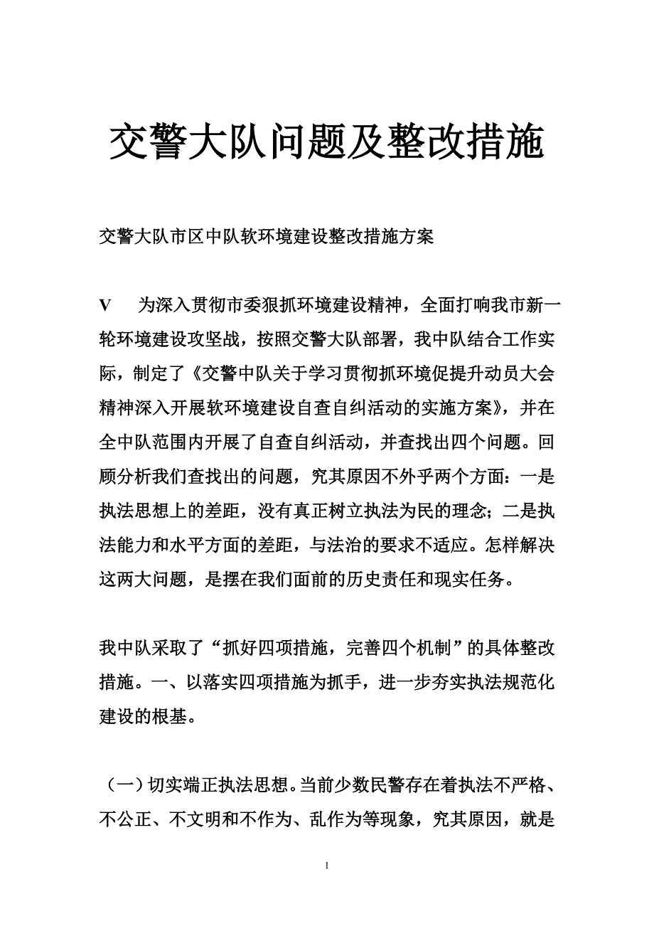 交警大队问题及整改措施_第1页