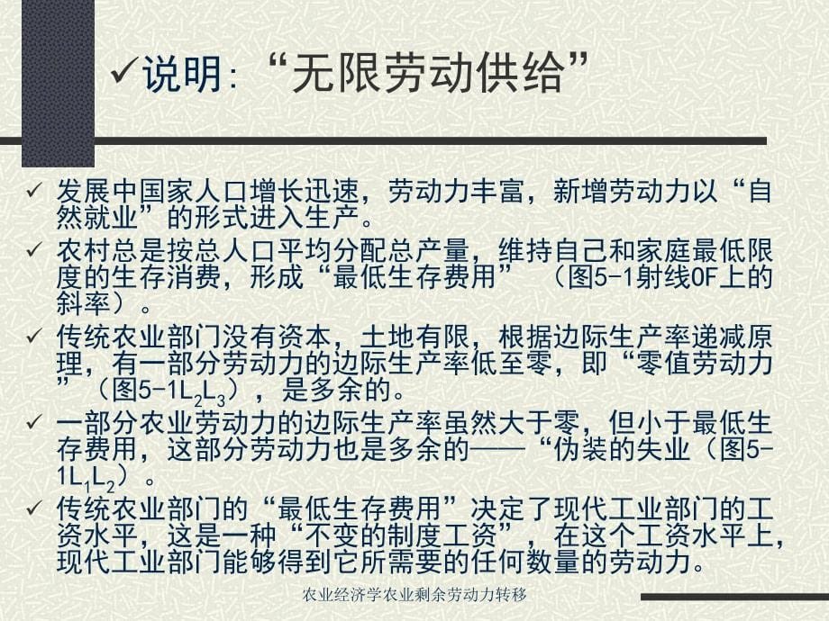 农业经济学农业剩余劳动力转移_第5页