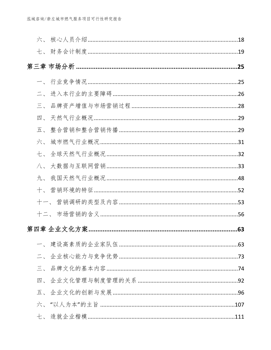 崇左城市燃气服务项目可行性研究报告模板_第3页