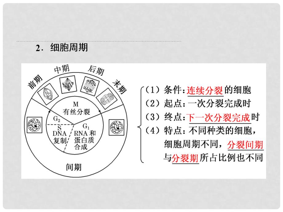 练酷版高考生物一轮复习 第四单元 细胞的生命历程 第1讲 细胞的增殖课件（必修1）_第3页