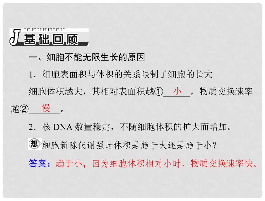 高考生物总复习 第6章 第1节 细胞的增殖课件 新人教版必修1_第4页