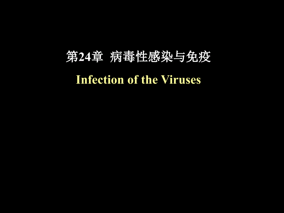 医学微生物学课件：第24章病毒性感染与免疫_第1页