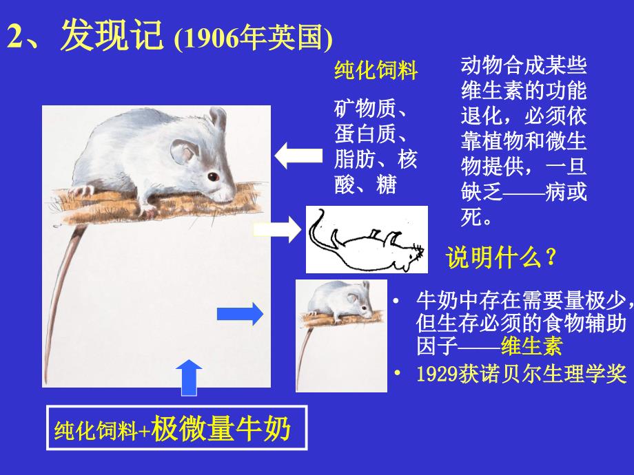 生物化学第4章：维生素与辅酶_第3页