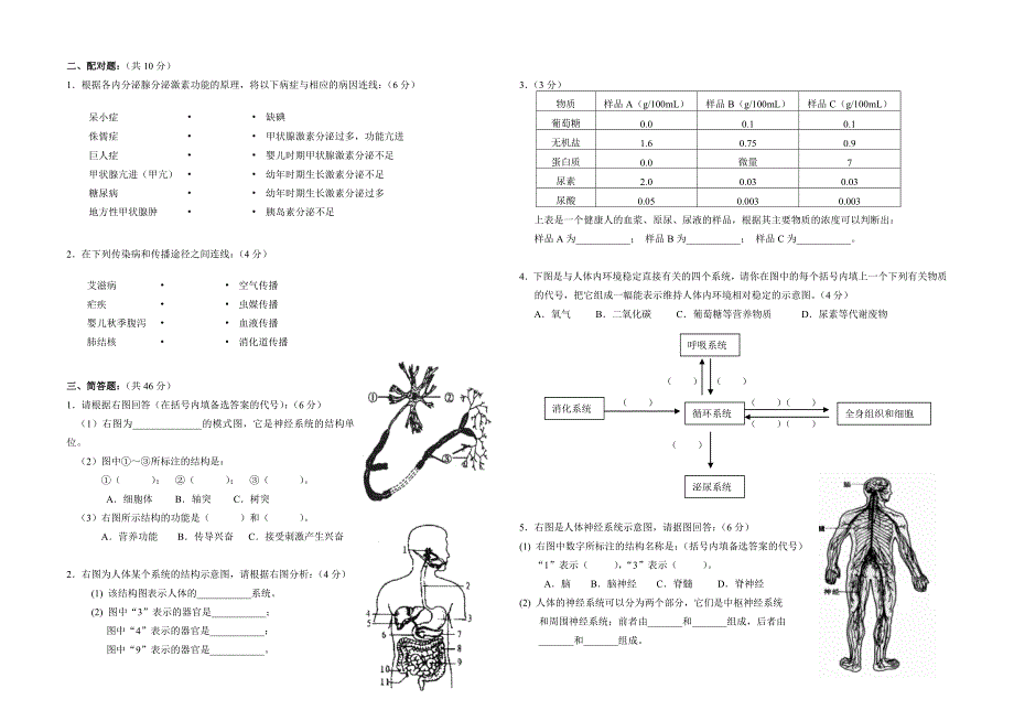 八年级第一学期期末测试卷_第2页