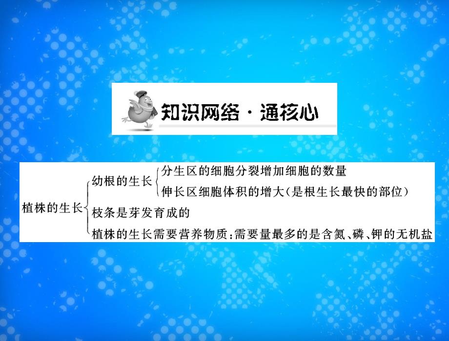 随堂优化训练七年级生物上册第三单元第二章第二节植株的生长配套课件人教新课标版课件_第2页