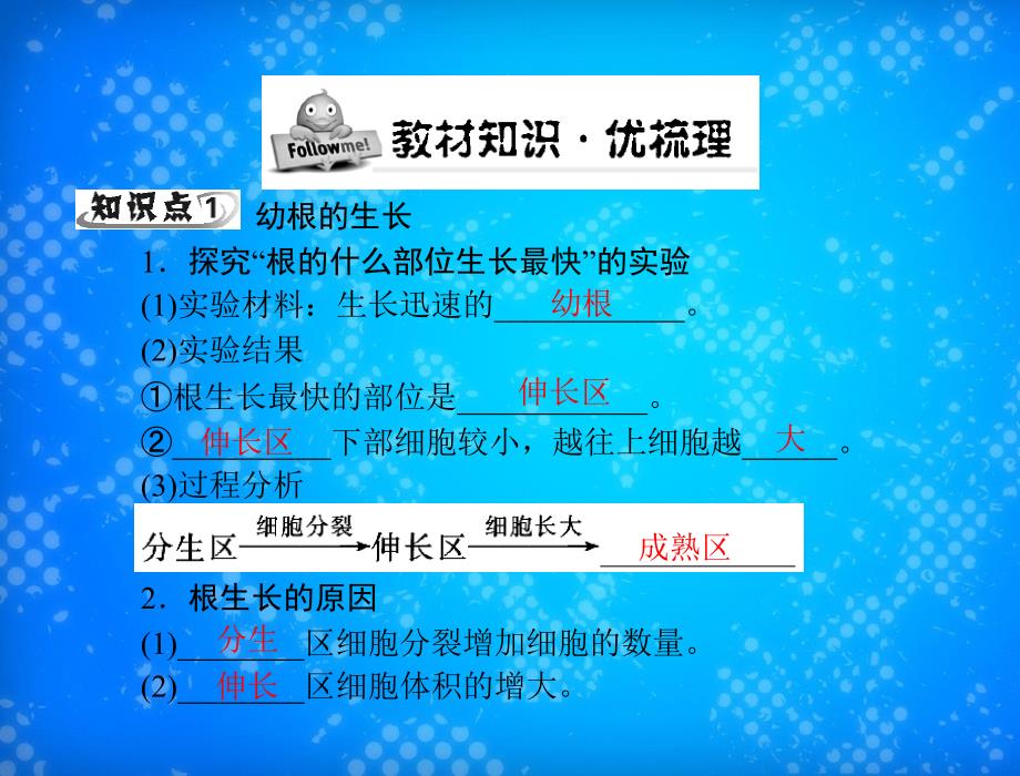 随堂优化训练七年级生物上册第三单元第二章第二节植株的生长配套课件人教新课标版课件_第3页