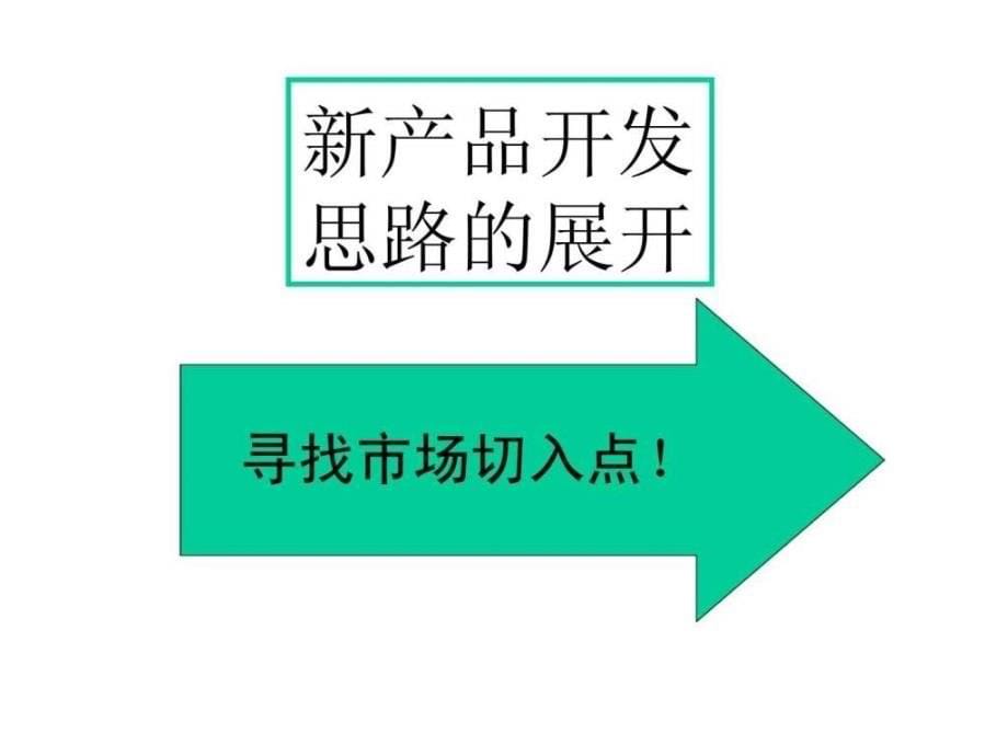 流行美产品线规划及营销策略建议_第5页