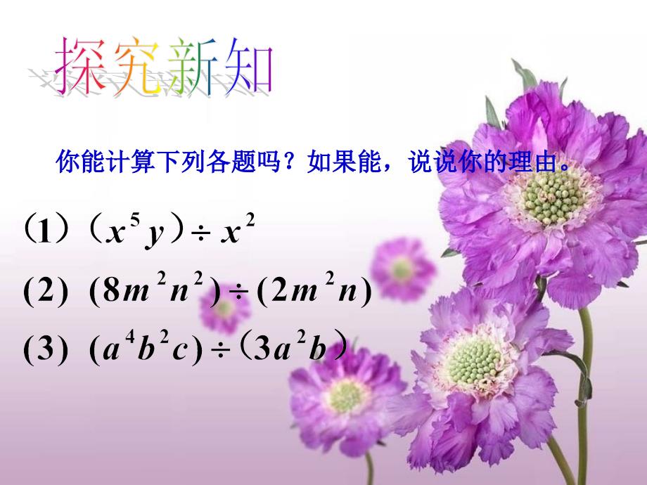 14.1.4.4整式的除法[精选文档]_第4页