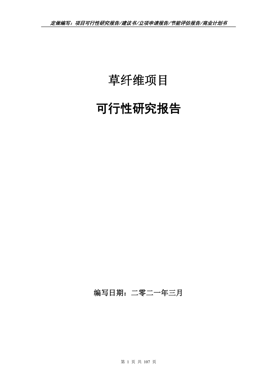 草纤维项目可行性研究报告写作范本_第1页