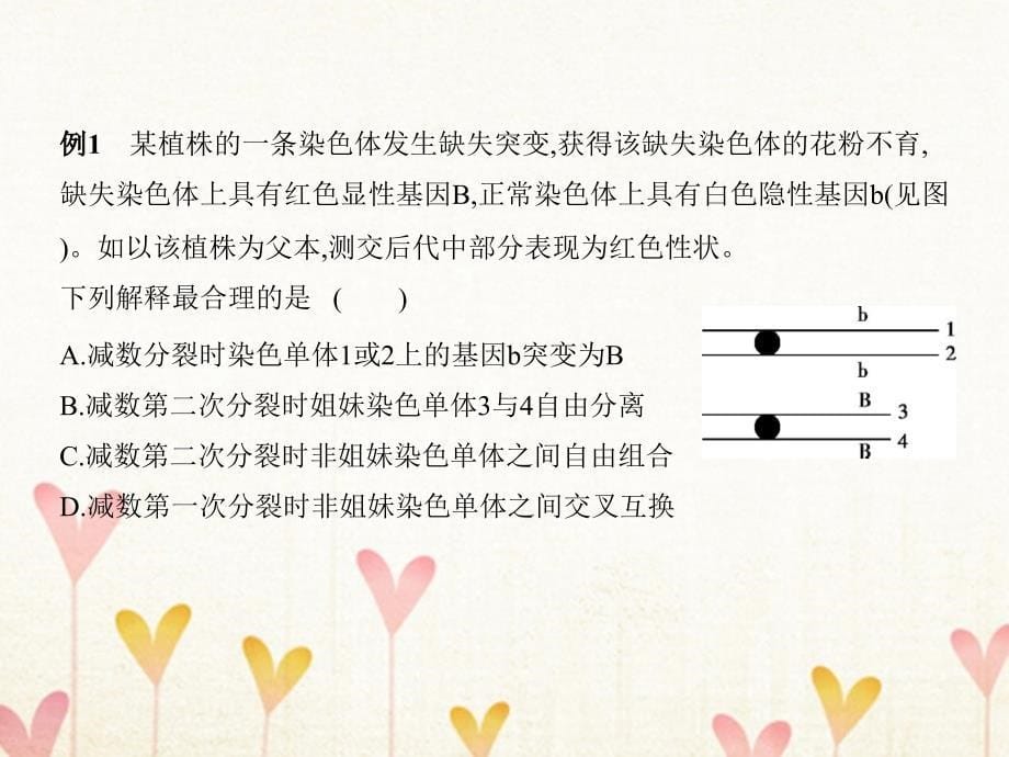 （B版浙江选考专用）高考生物总复习 专题14 生物变异的来源课件_第5页