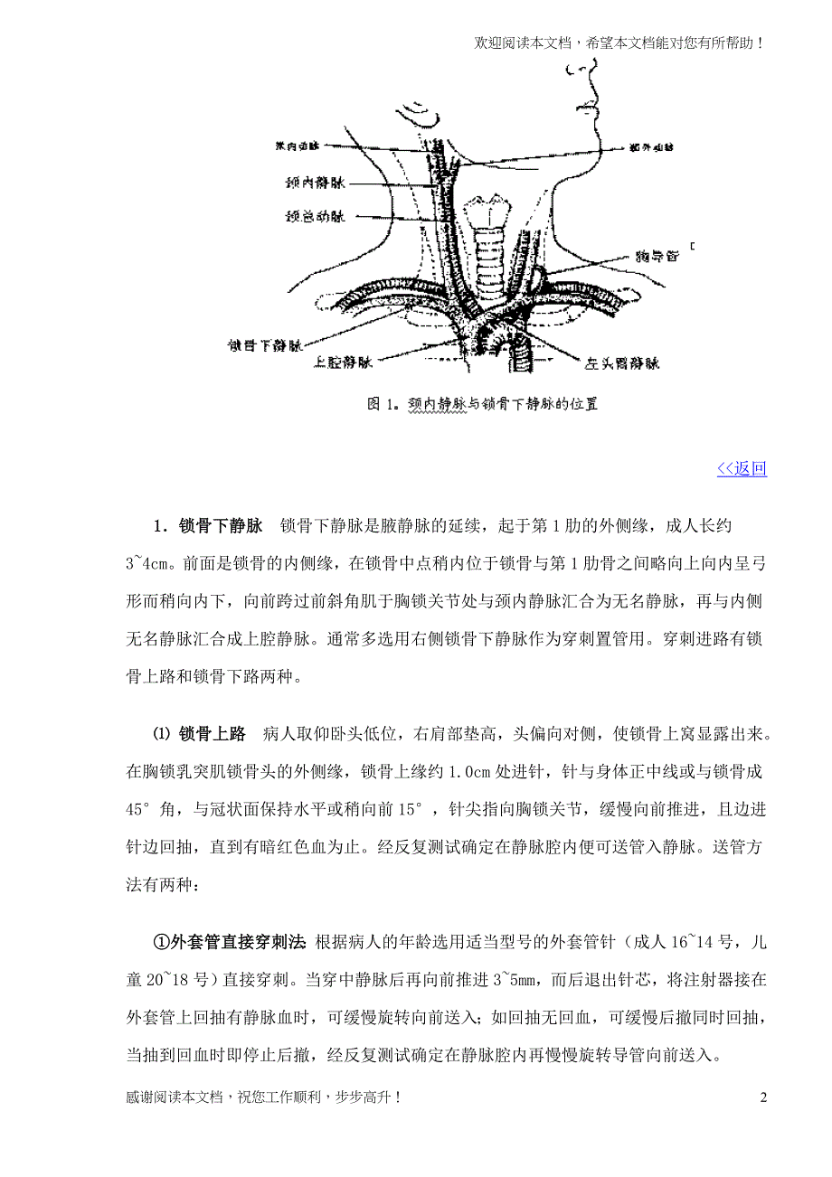 中心静脉穿刺置管技术规范_第2页