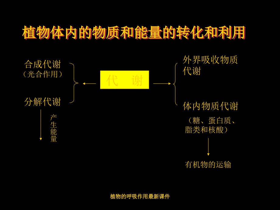 植物的呼吸作用最新课件_第1页