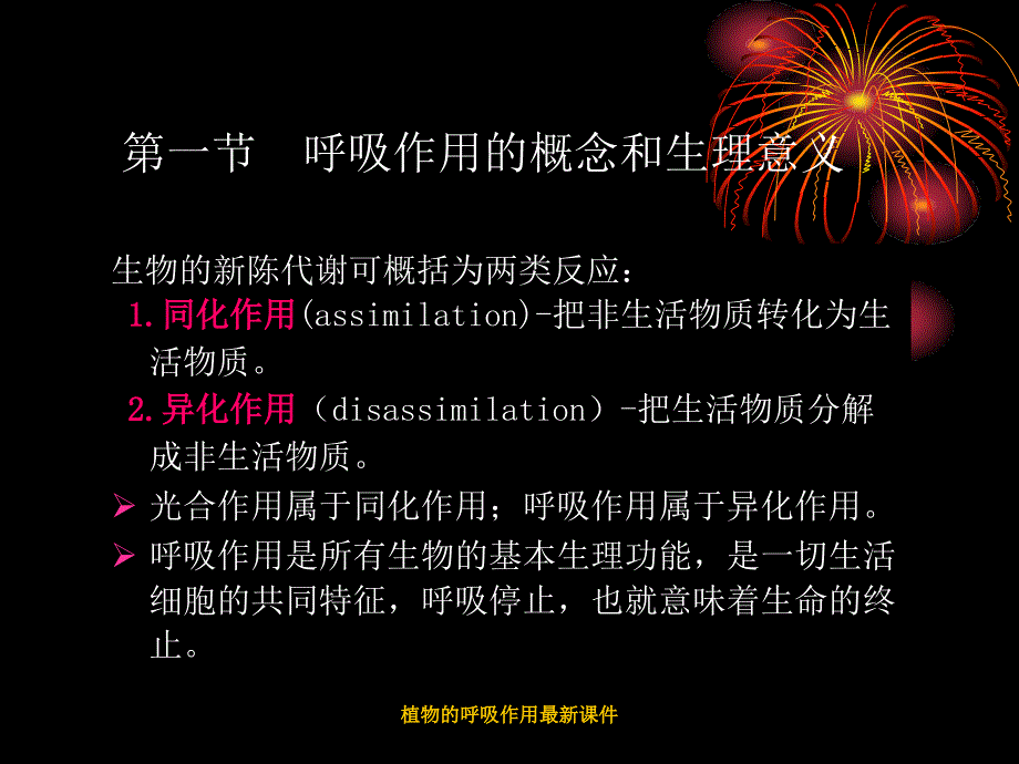 植物的呼吸作用最新课件_第3页