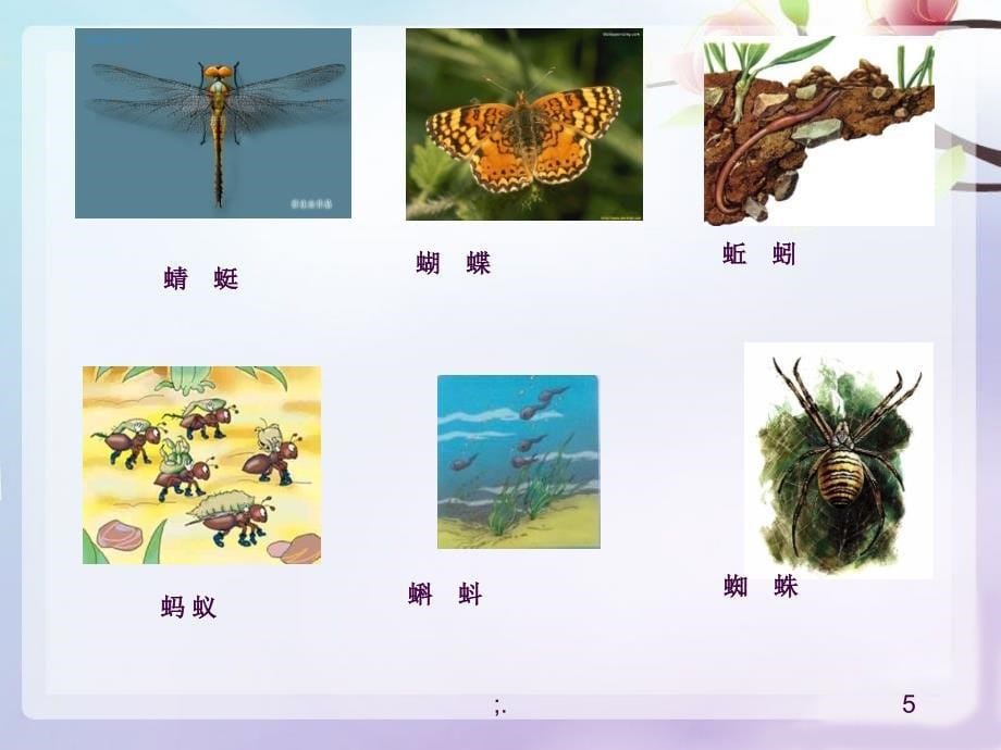 5识字55动物儿歌ppt课件_第5页