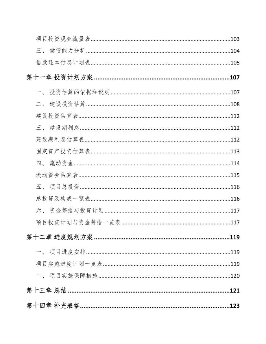 深圳关于成立火花塞公司研究报告_第5页