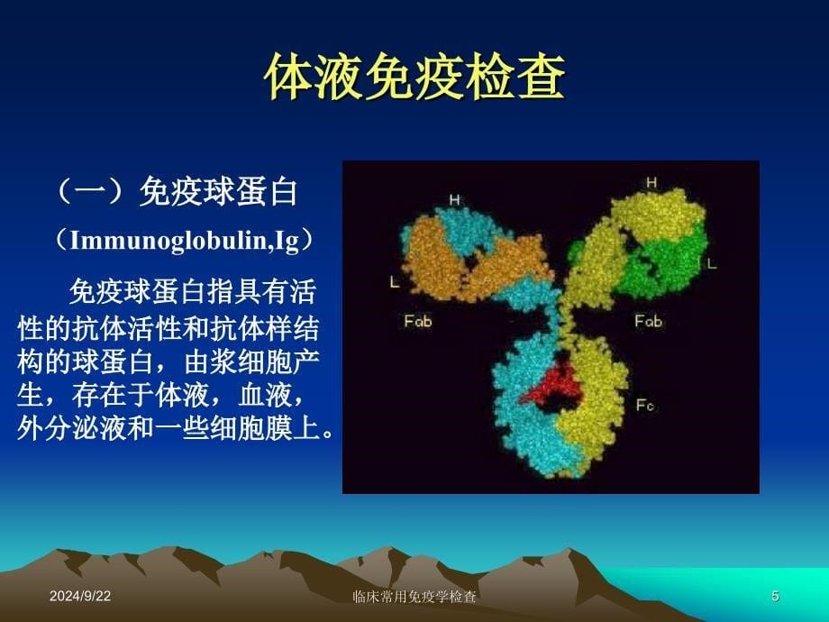 临床常用免疫学检查(新修)_第5页