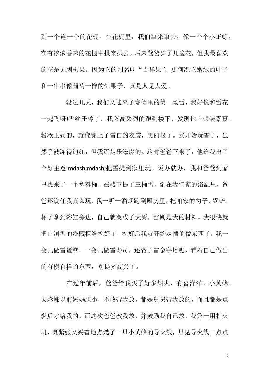 初中作文快乐的寒假范文模板八篇.doc_第5页