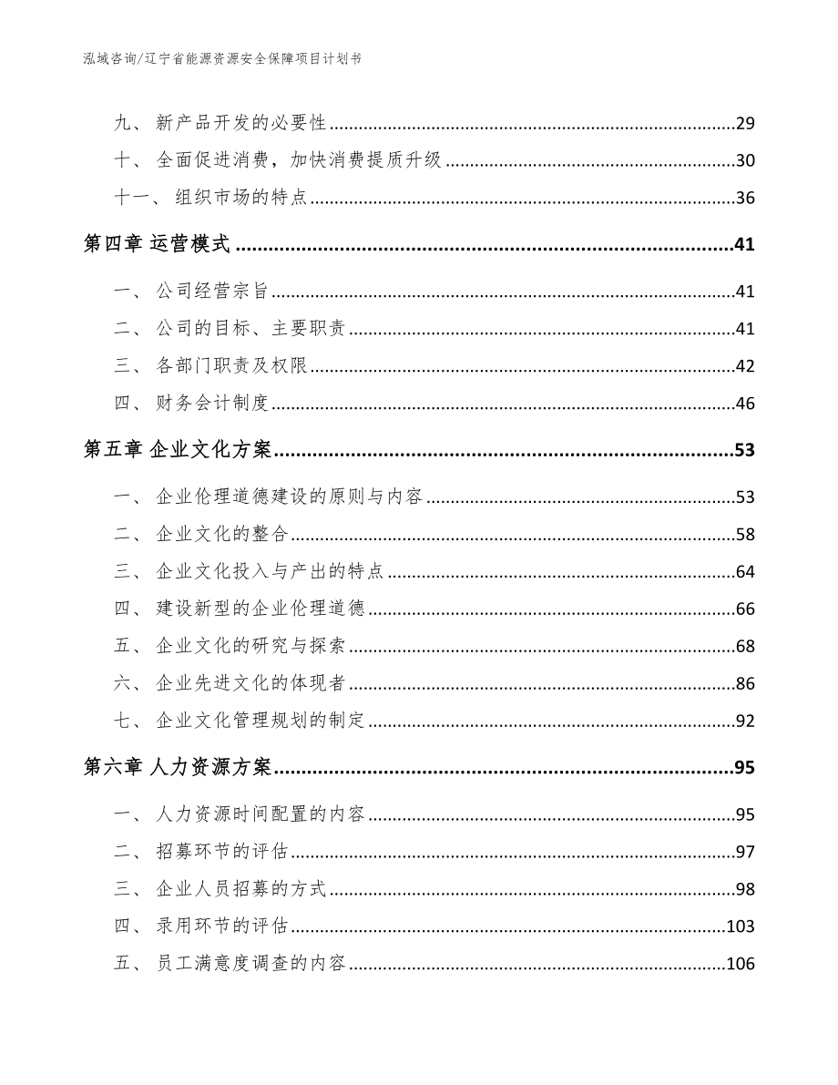 辽宁省能源资源安全保障项目计划书_第2页