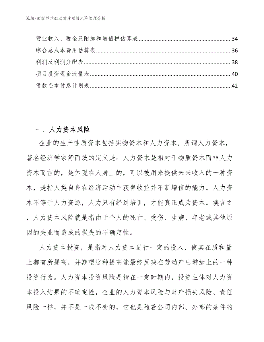 面板显示驱动芯片项目风险管理分析_第2页