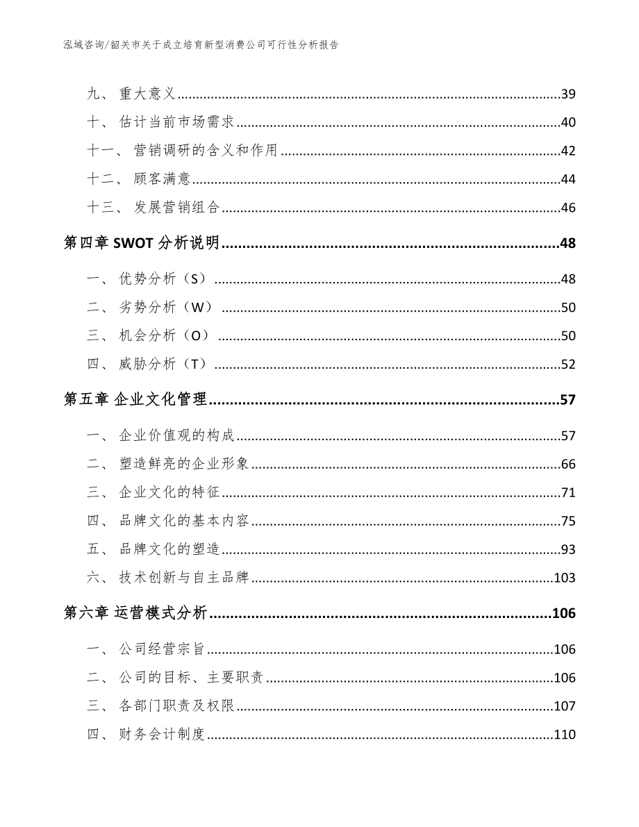 韶关市关于成立培育新型消费公司可行性分析报告模板_第3页