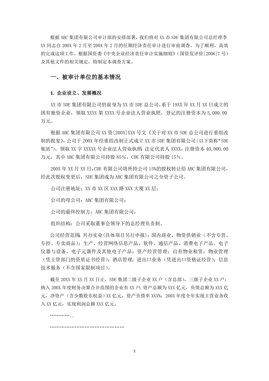 审前调查方案SDE集团任期经济责任审计_第2页