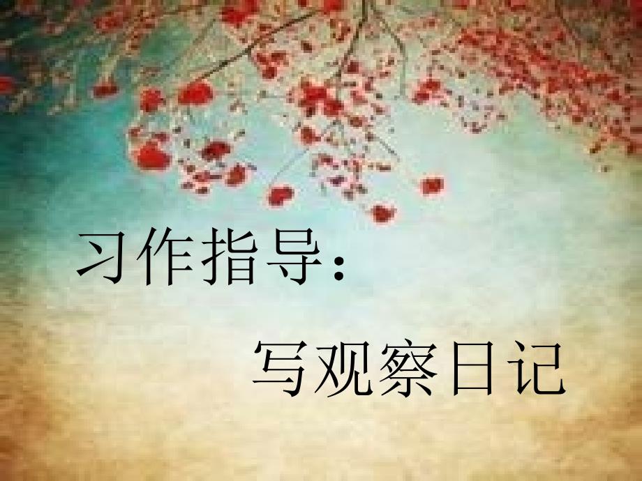 习作：写观察日记优秀公开课课件(四年级上册)_第1页