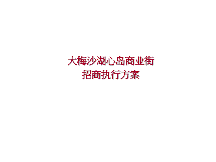 某商业街招商执行报告课件_第1页