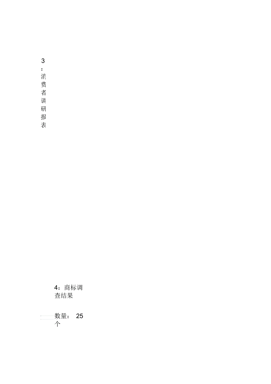 各大内衣品牌某市市场调查报告_第3页