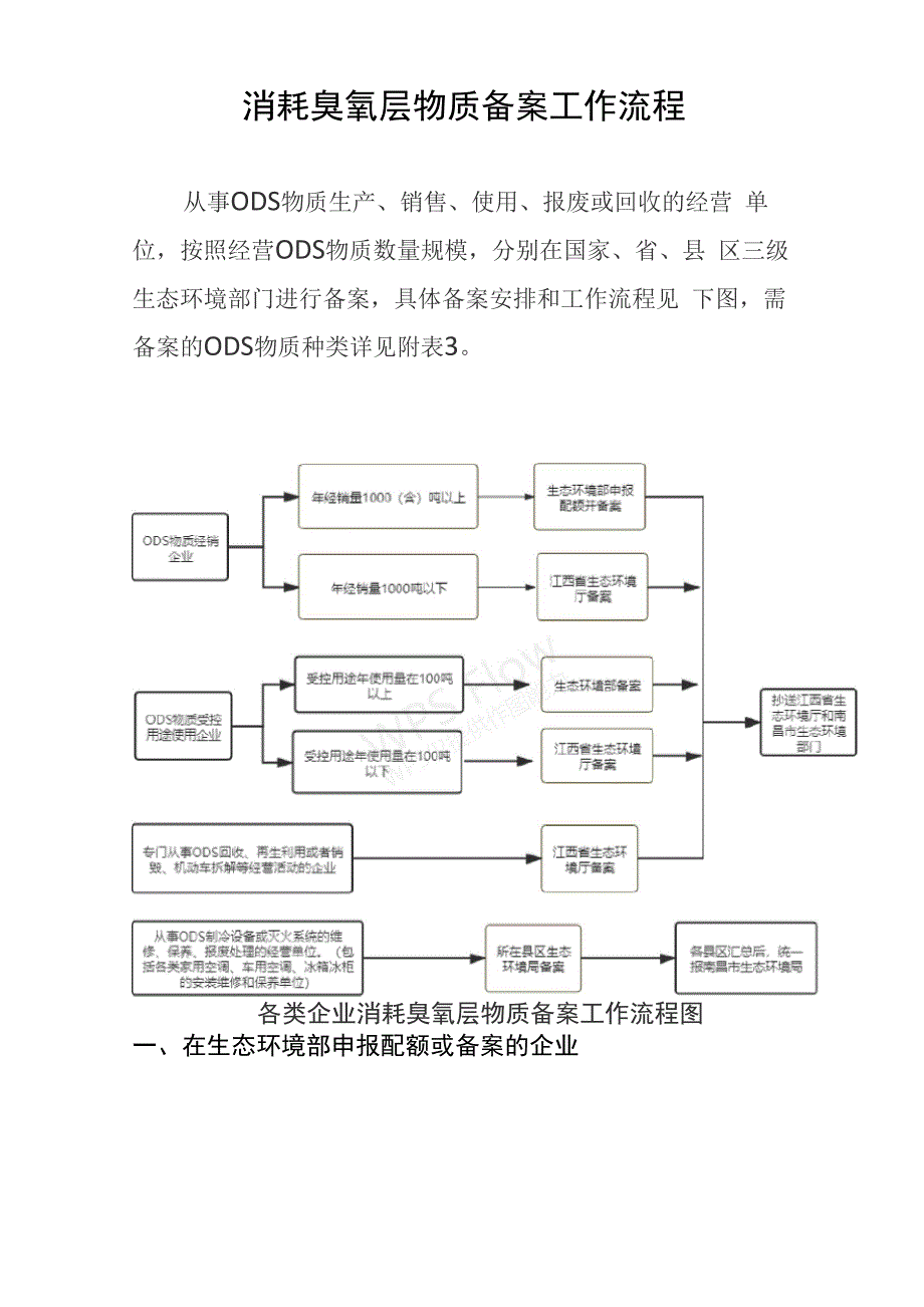 消耗臭氧层物质备案工作流程_第1页