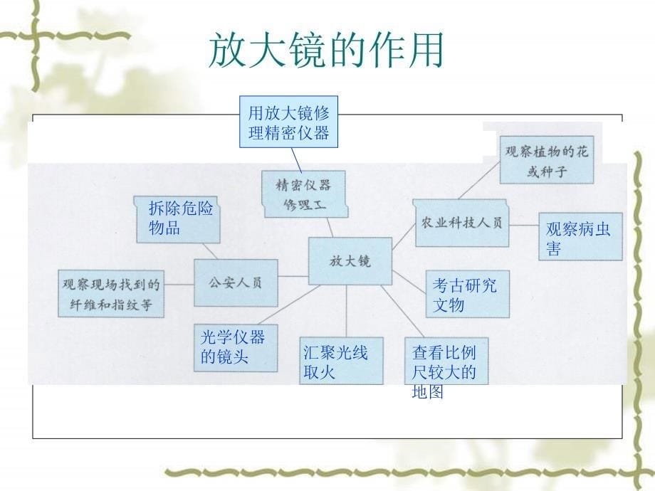 《放大镜》PPT课件(教科版)[1]_第5页