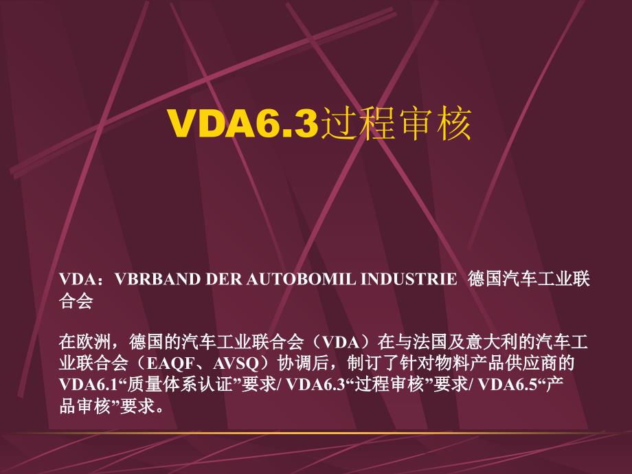 VDA63过程审核详细教材_第1页