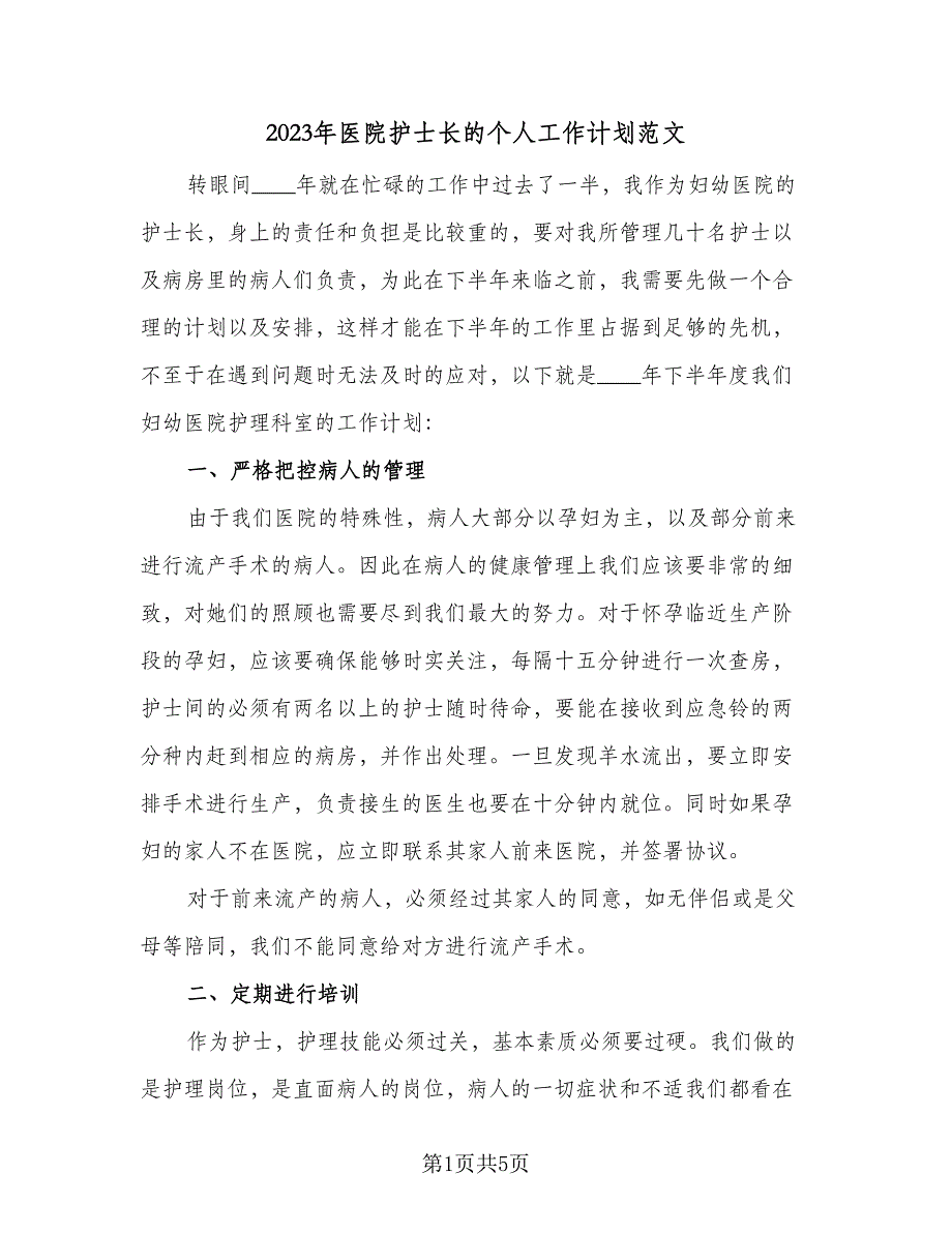 2023年医院护士长的个人工作计划范文（二篇）_第1页