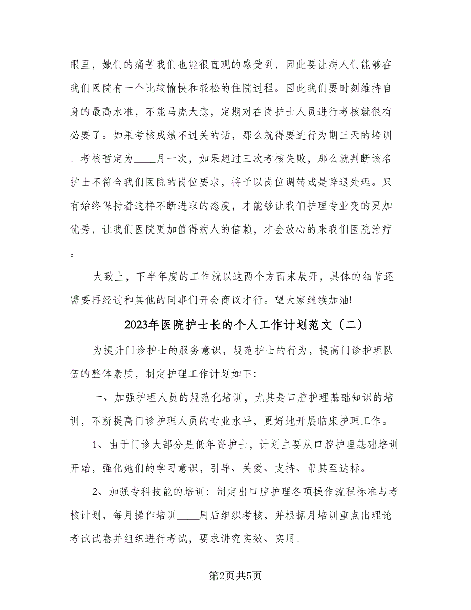 2023年医院护士长的个人工作计划范文（二篇）_第2页