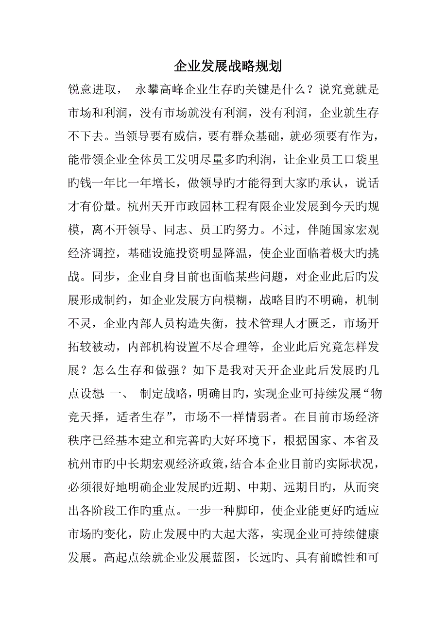 公司发展战略规划_第1页