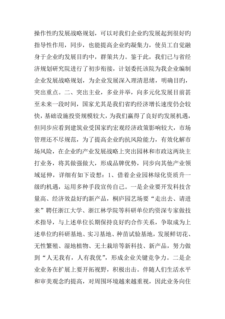 公司发展战略规划_第2页