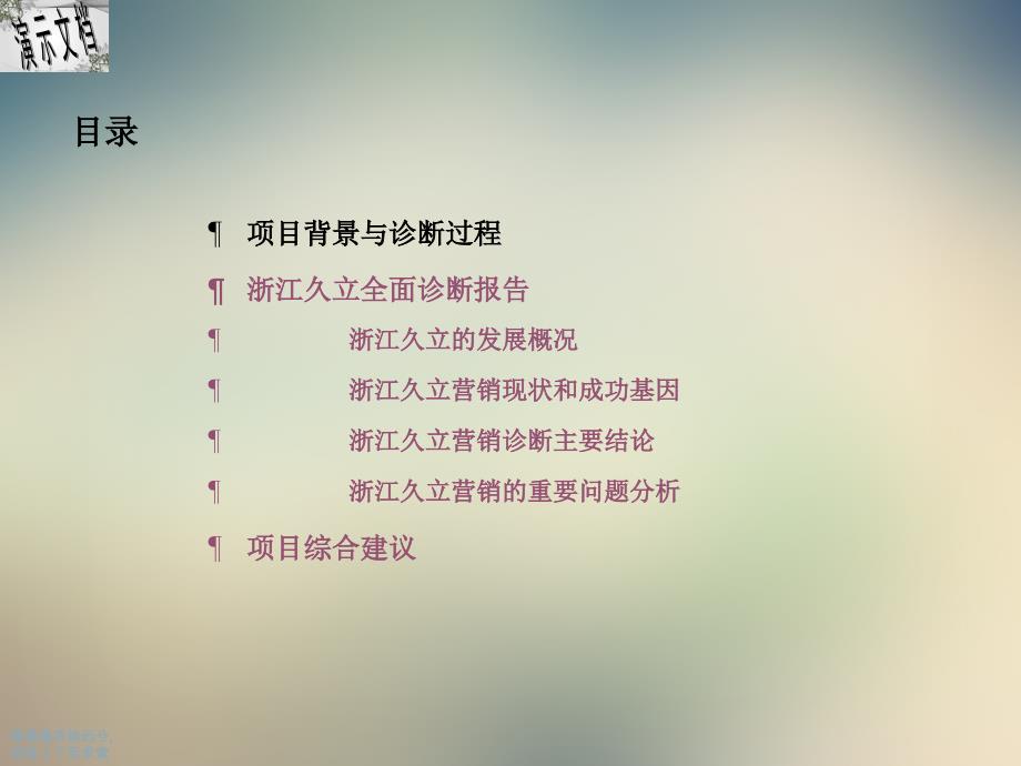 浙江某营销诊断报告及项目综合建议课件_第3页