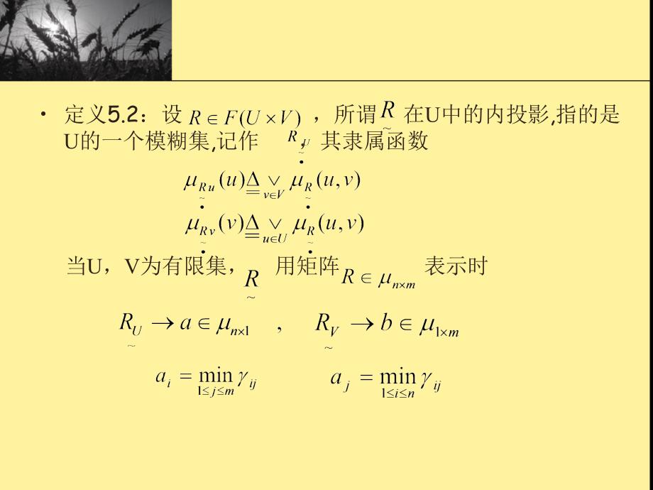 第五章模糊映射与变换模糊关系方程_第4页