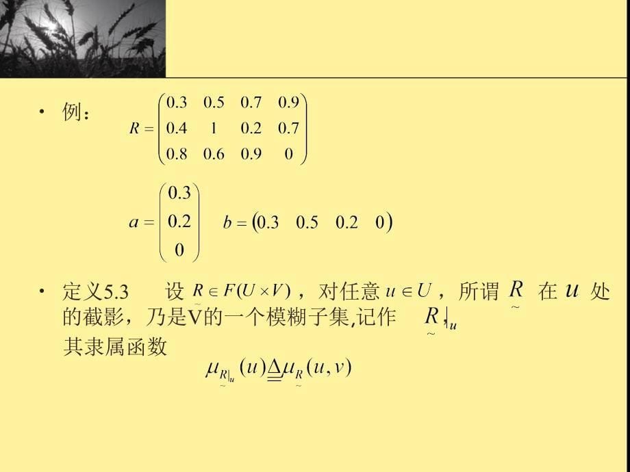 第五章模糊映射与变换模糊关系方程_第5页